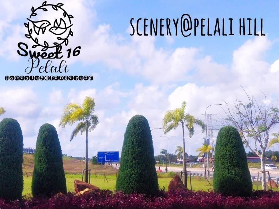 Sweet 16 Pelali Homestay Pengerang Eksteriør bilde